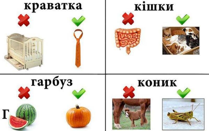 Что в русском языке смешит других славян