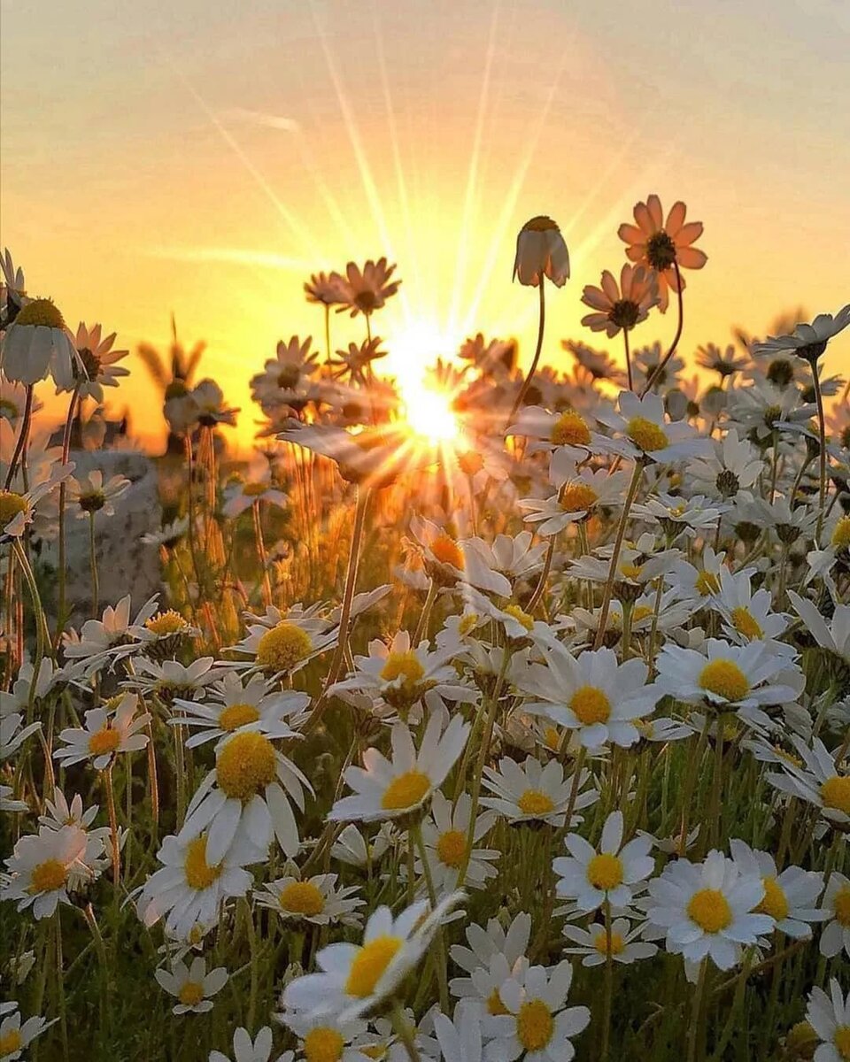 Хочется улыбаться такой красоте