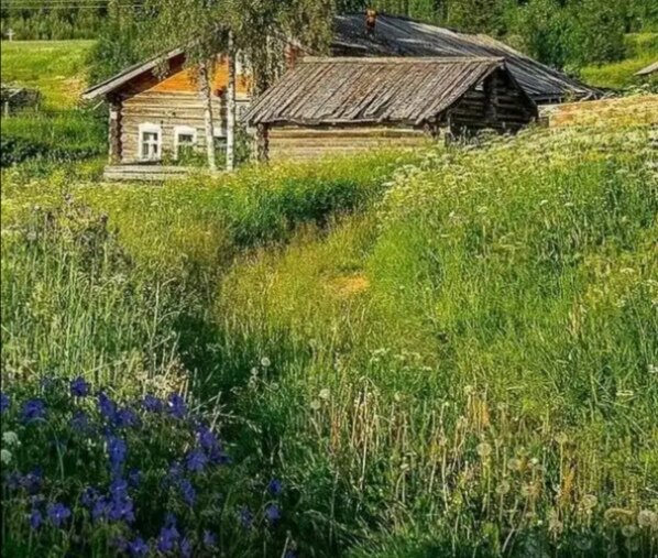 Деревенька, фото из доступных источников. 