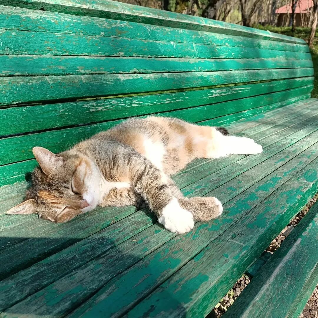 Примерно так и спал мужчина.  фото из Яндекс