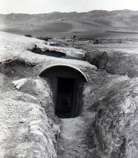 фото из интернета.