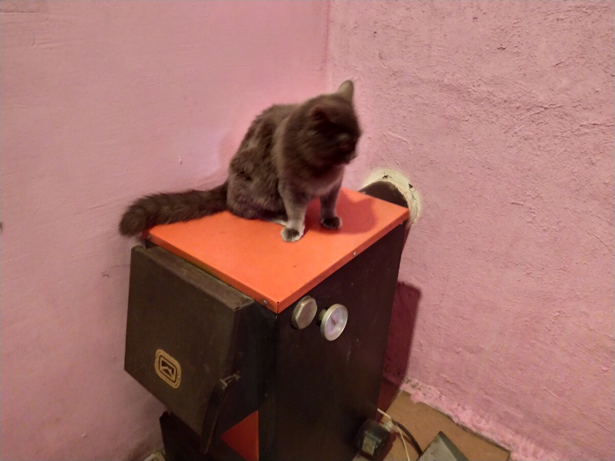 твердотопливный котел с электрическими тэнами.