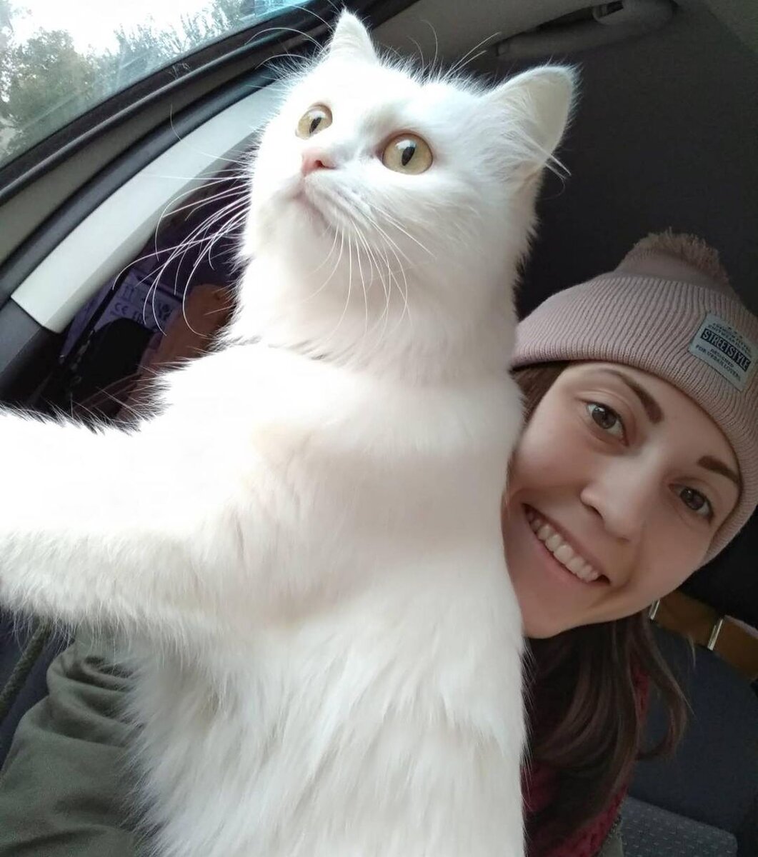 Наша кошка (Тера) - терпеливо перенесла долгую дорогу (10 часов)