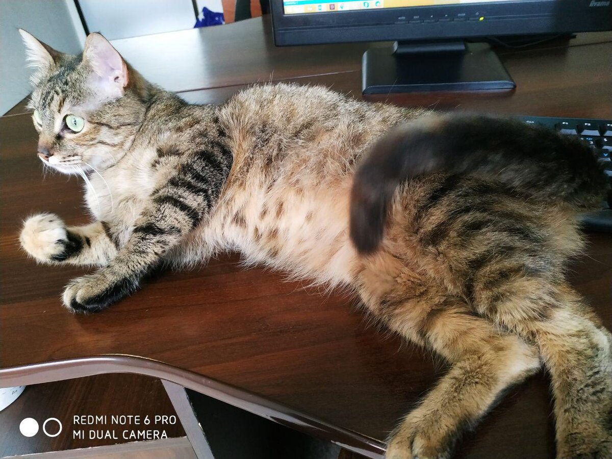 Это Ася, она сейчас пойдет кушать Грандорф