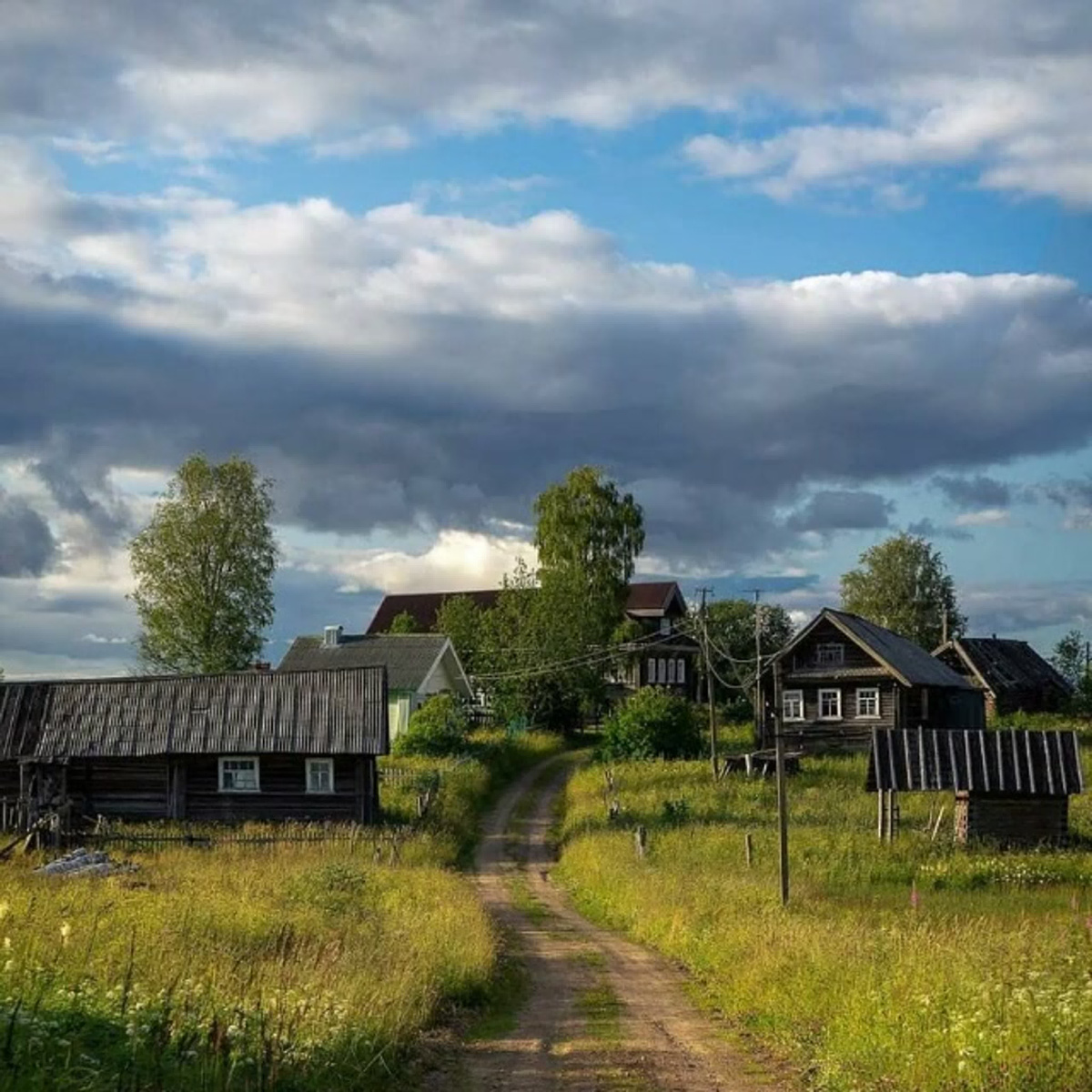 фото из открытого доступного источника сети интернет
