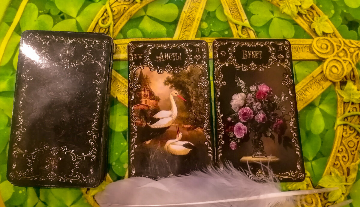 Фото автора.