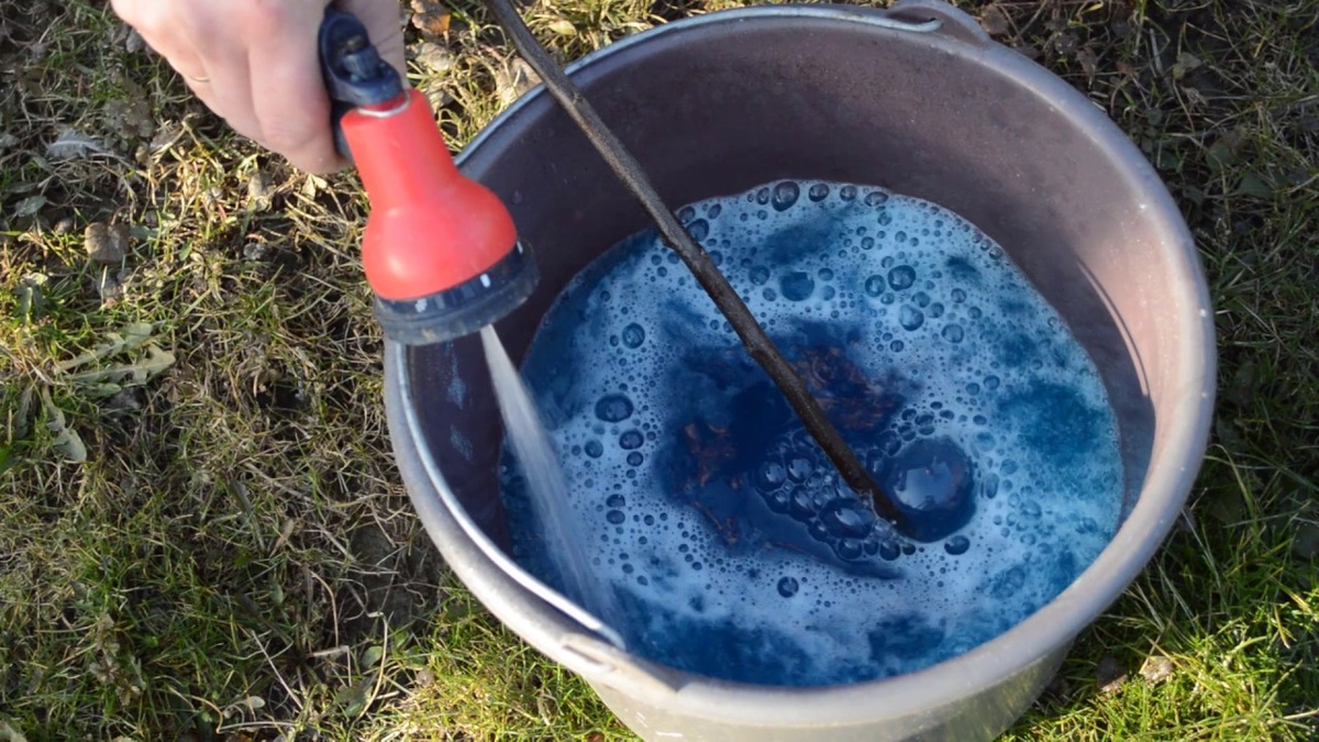 Горячим раствором медного купороса проливают грядки (фото с сайта sveklon.ru)