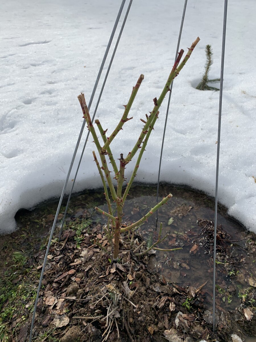 Фото читательницы