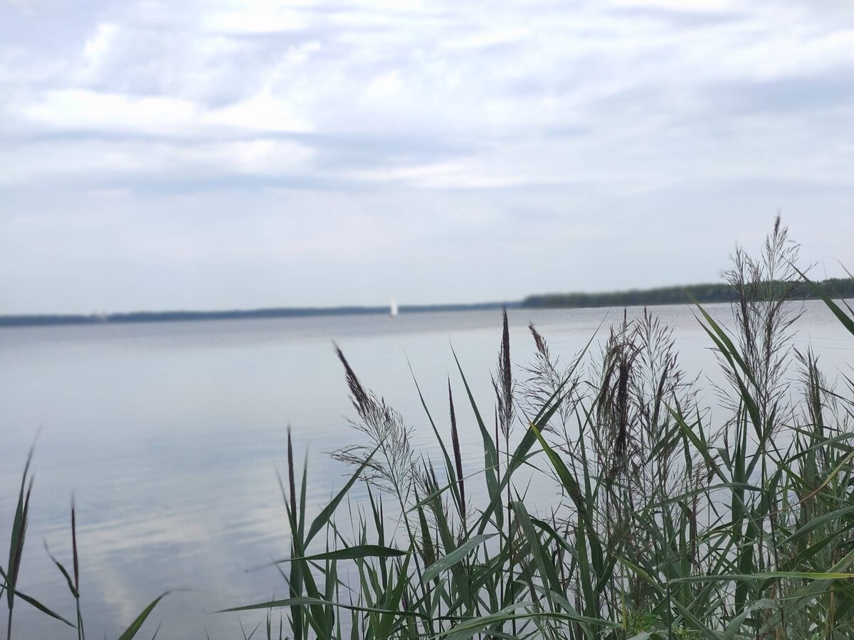 Белый парус вдалеке