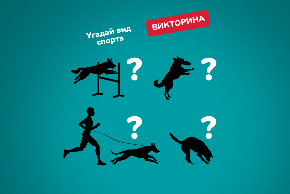 Карта бонусная бетховен