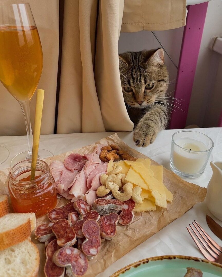 иллюстрация из яндекс картинки.