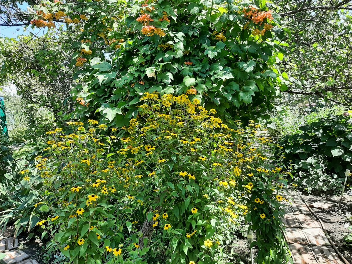 Фото Елены Погореловой