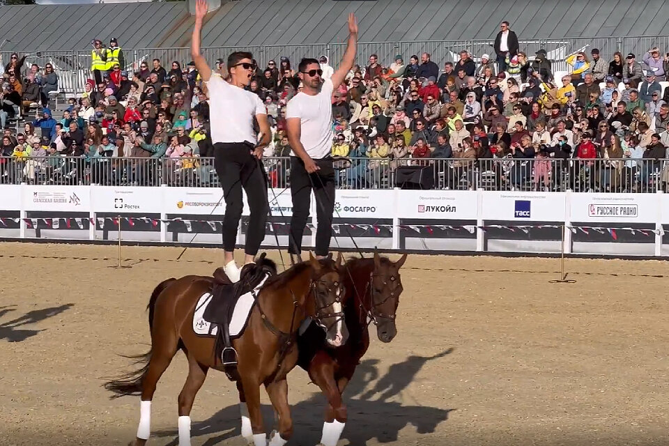 Центр национальных конных традиций России. Фото: Кирилл Репин  📷
