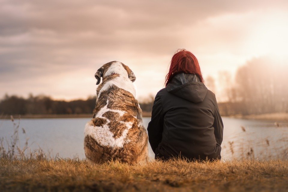 Фото для иллюстрации взято с pixabay.com