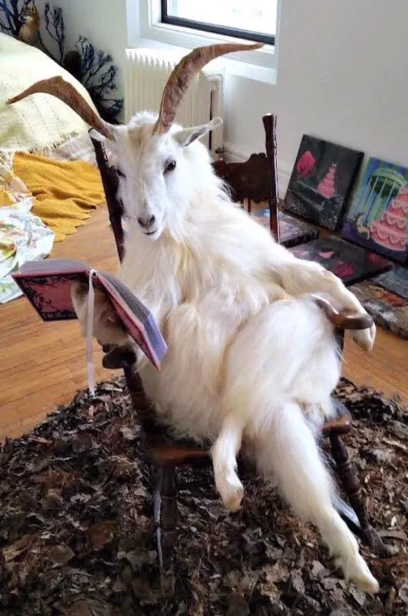 Фото из открытых источников.