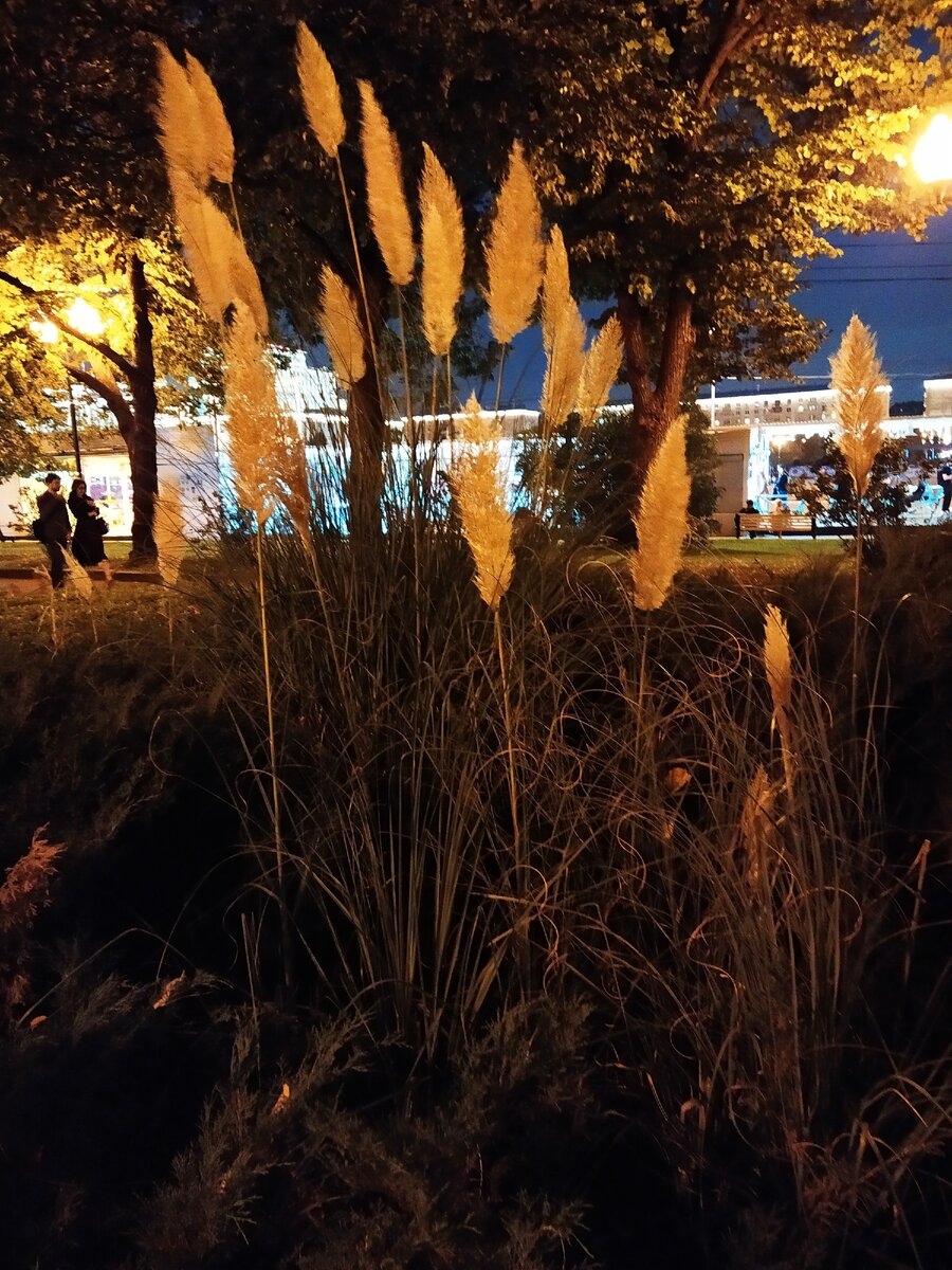 -2-2