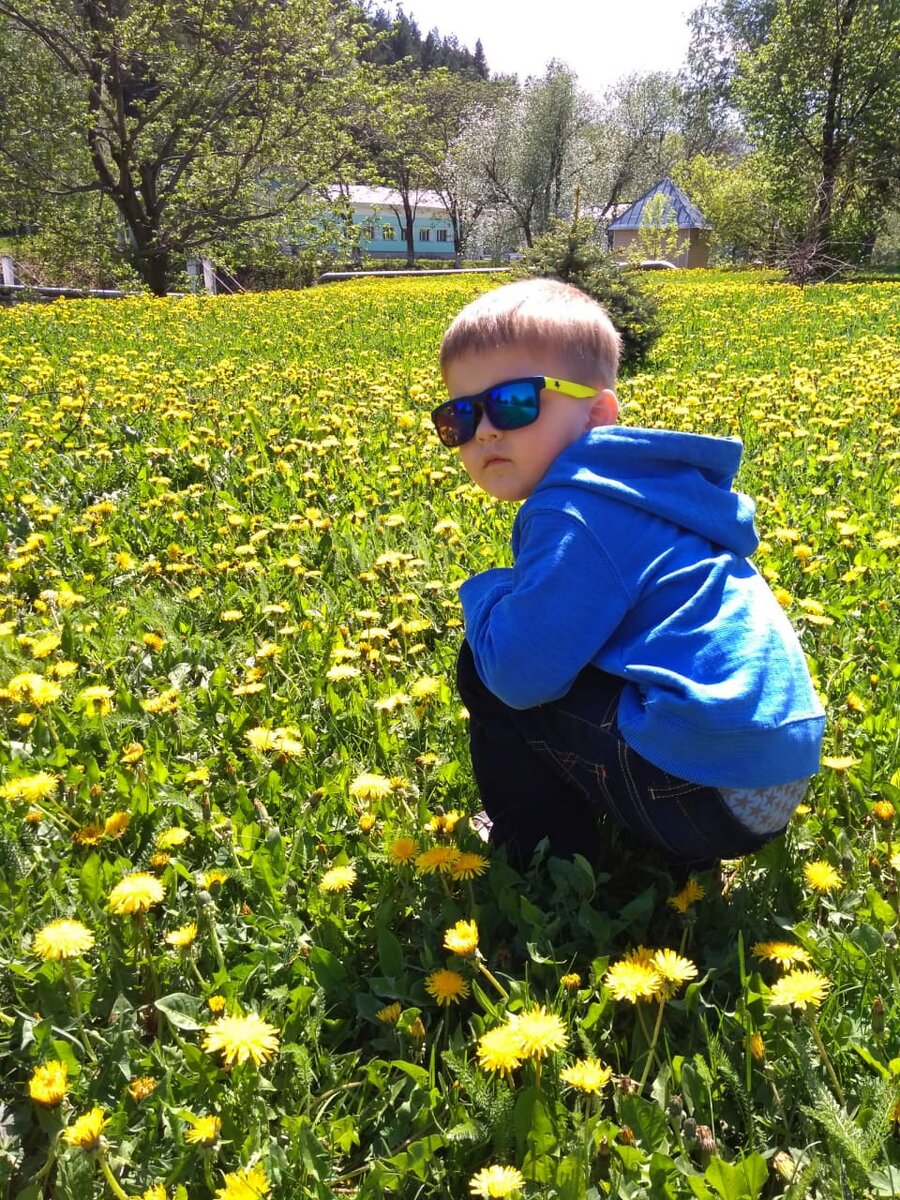 Прогулка по полю с одуванчиками