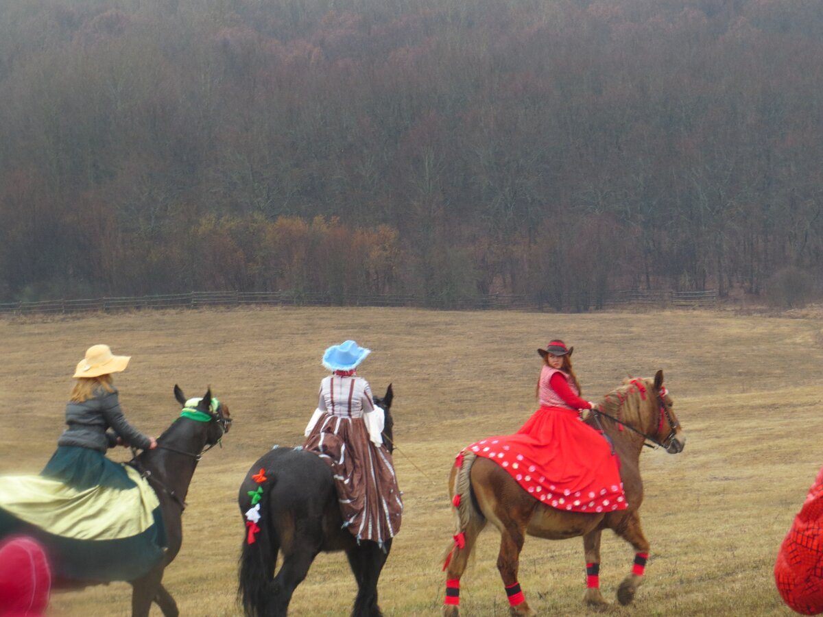 Кудыкина гора - февраль 2016г. Масленица. Путешествуем с Верой г. Орел.
