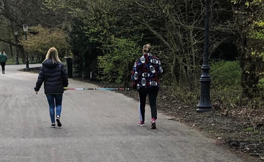 Гляющие в Амстердамском Oosterpark'е держат дистанцию, чтобы наверняка :) 
Фото (с) Jacqueline TellingaSupplied, NL Times