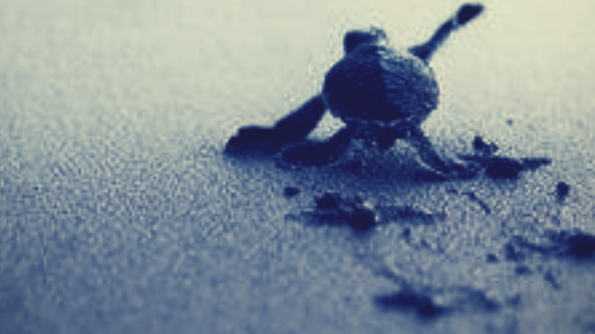 Подписывайтесь на канал и ставьте лайк. Будет  интересно ;)