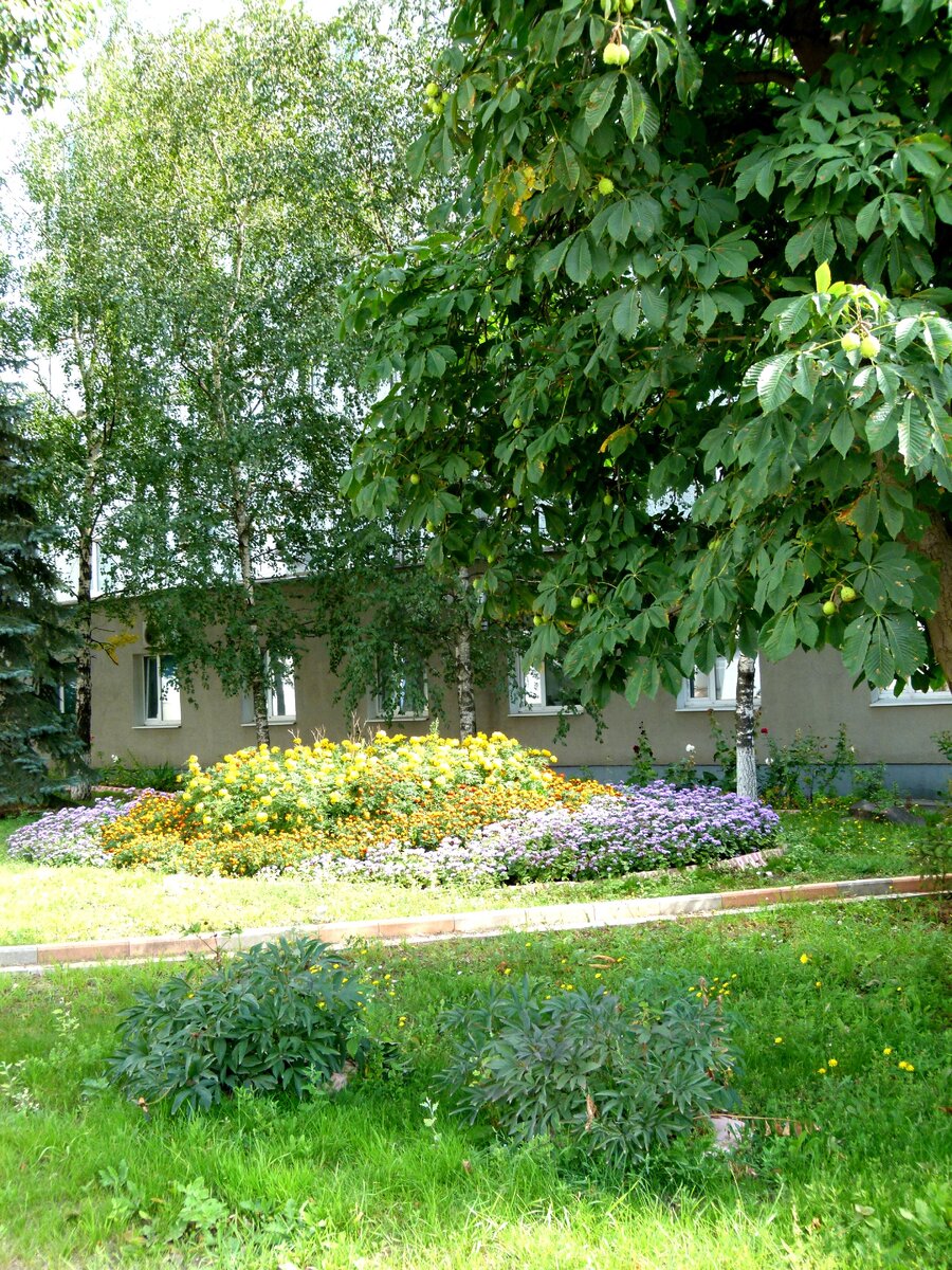 Клумбы на территории "Опытного завода сухих смесей"