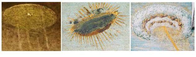 Слева направо: Фитцвильямский музей, Кембрибж; Палаццо веччио музей, Флоренция; Национальная Галерея, Лондон. 