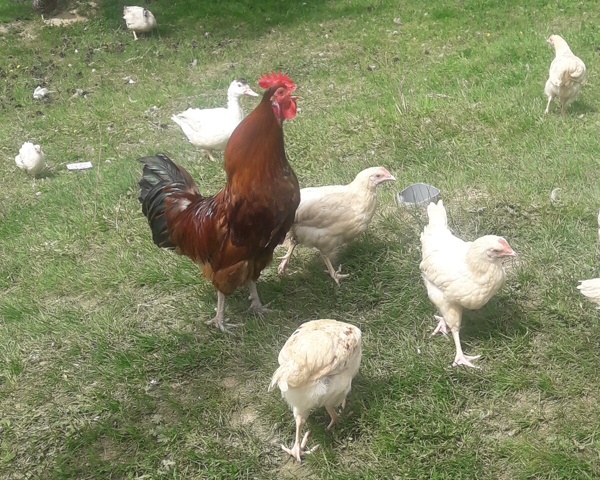 Фото из личного архива