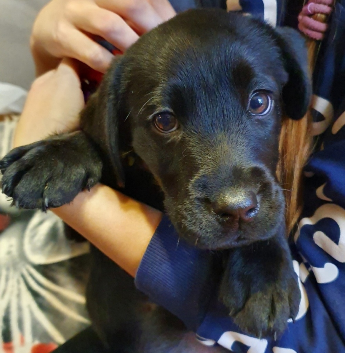 Ну что за люди? Все фоткают, да фоткают...