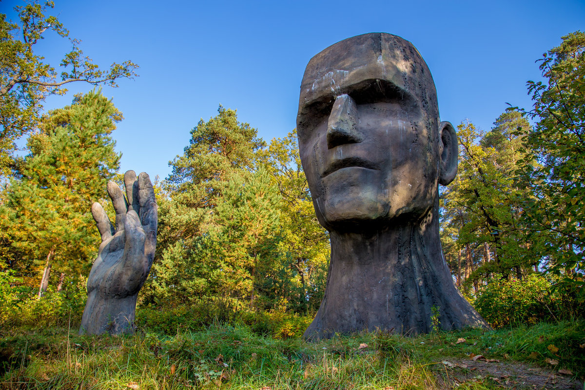 Photo from https://avatars.mds.yandex.net