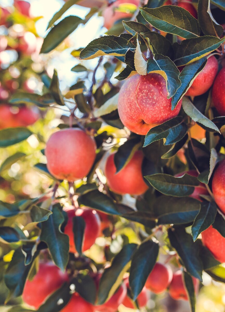 https://unsplash.com/photos/AQ6K3KLdEqo