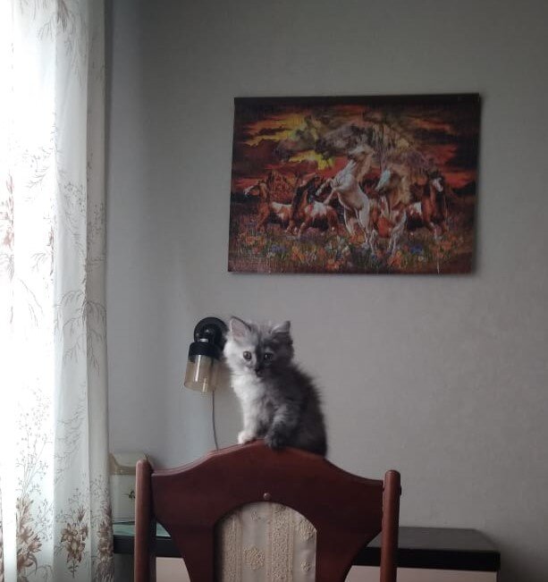  Соня: "Скучно? А что такое "скучно"? Слово, вроде, знакомое, а что значит - не знаю!" 