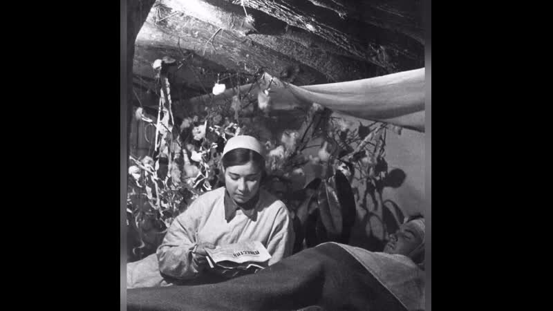 Фото взято из открытого доступа в интернете.