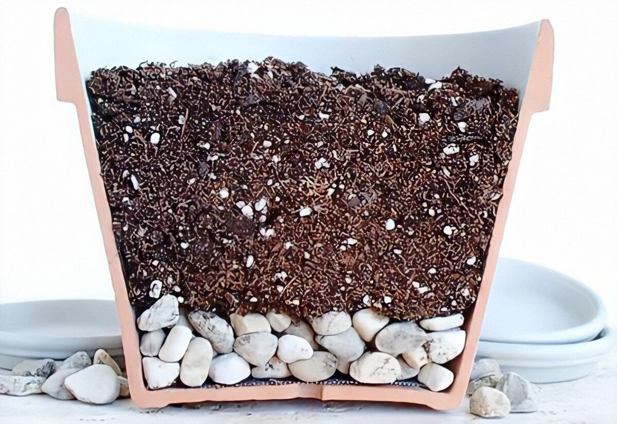 Фото из Google картинок 