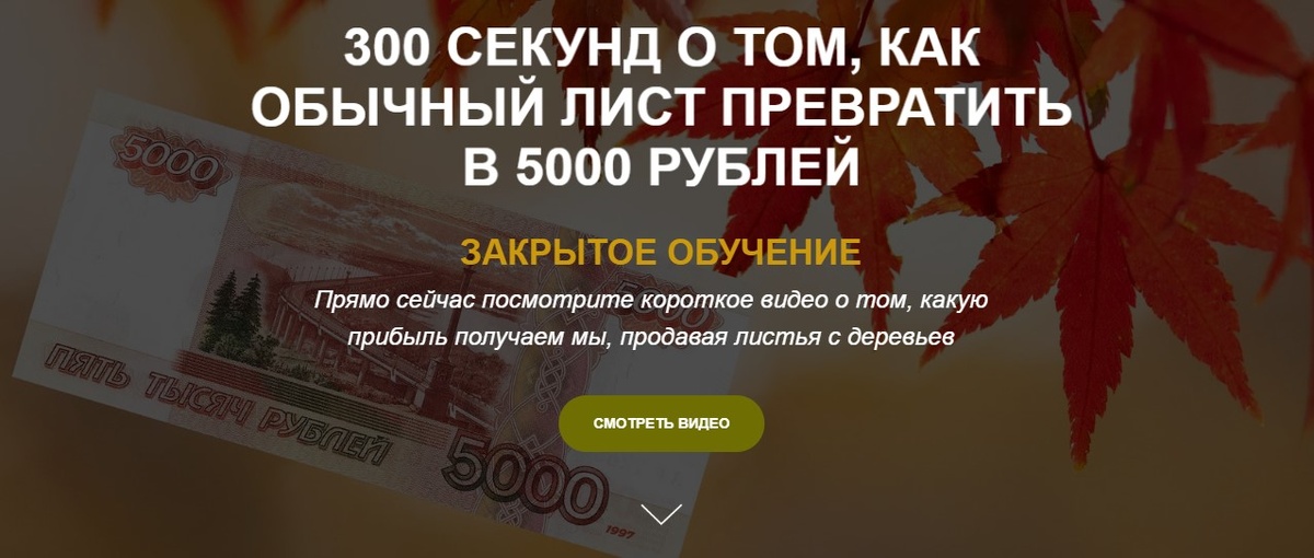 Тут курсы и там курсы.