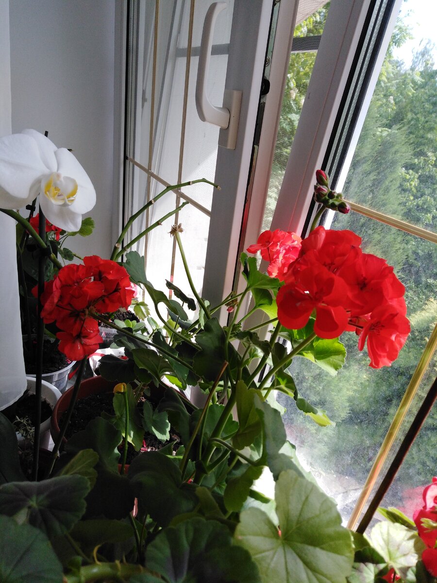 Фото из личного архива 