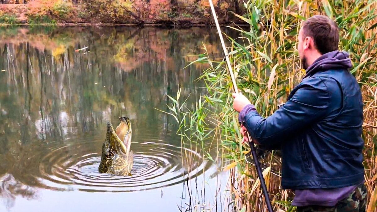 Не судите строго, всего лишь визуализация желаемого😀 Фотошоп может все!