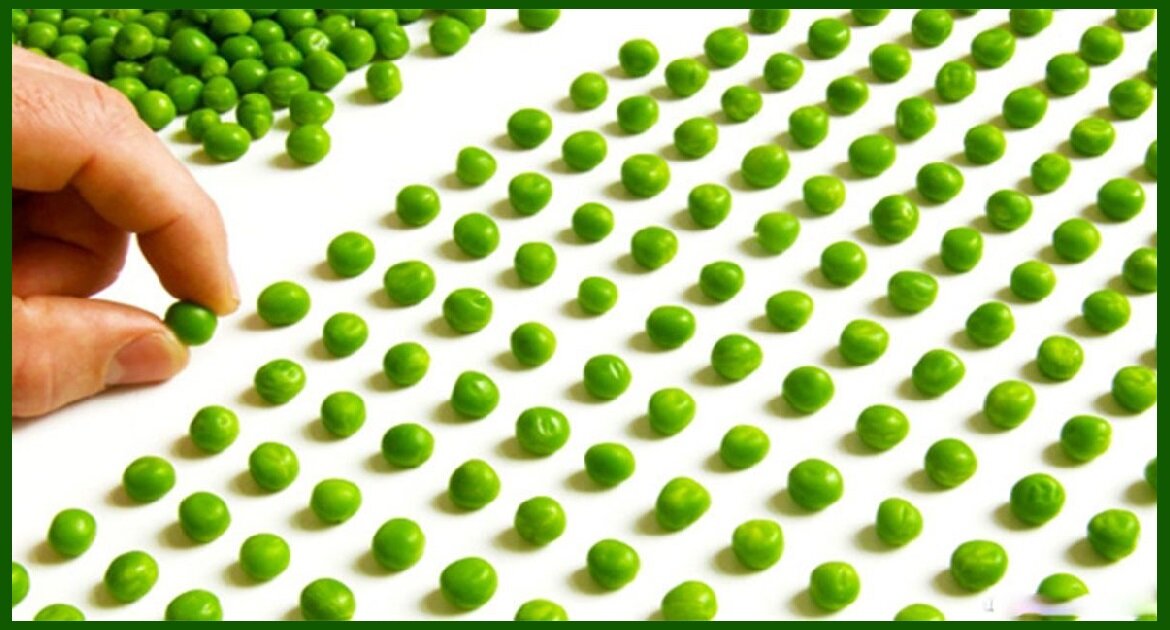 Изображение из свободных источников