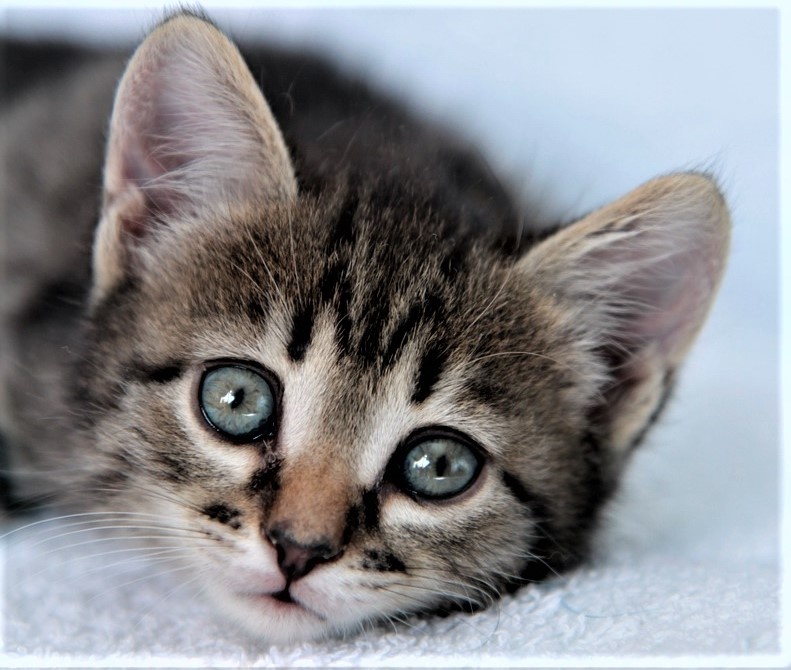 Был Шуркой, стал Максиком