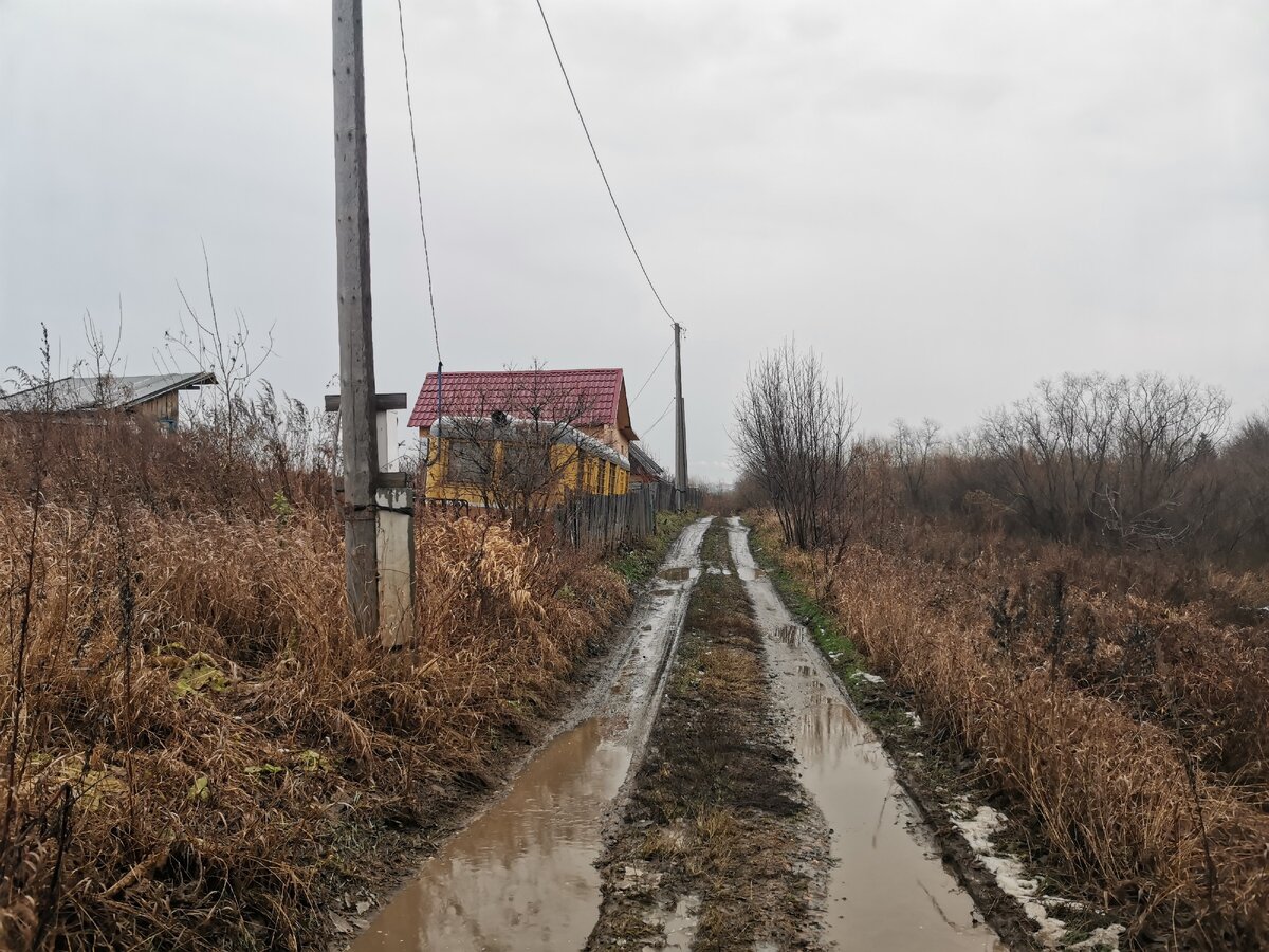 Проезжал по дачным участкам...