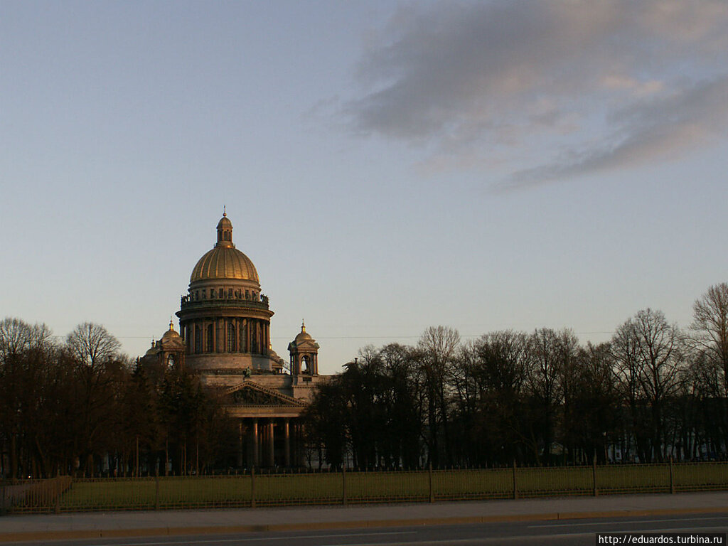 Цвет питера