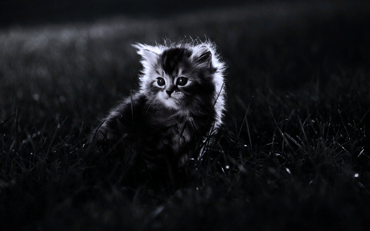 Источник фото Яндекс Диск