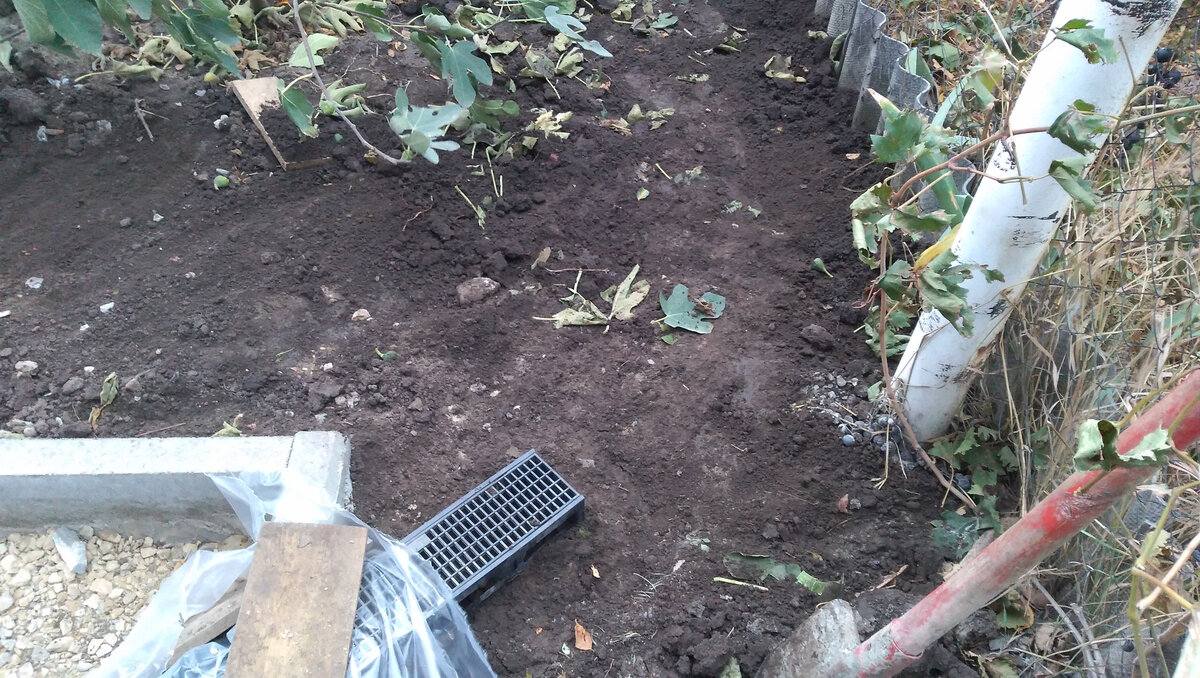 \"Зачем мудрить?\" Проектировщик ландшафта показал, как и куда проще ...