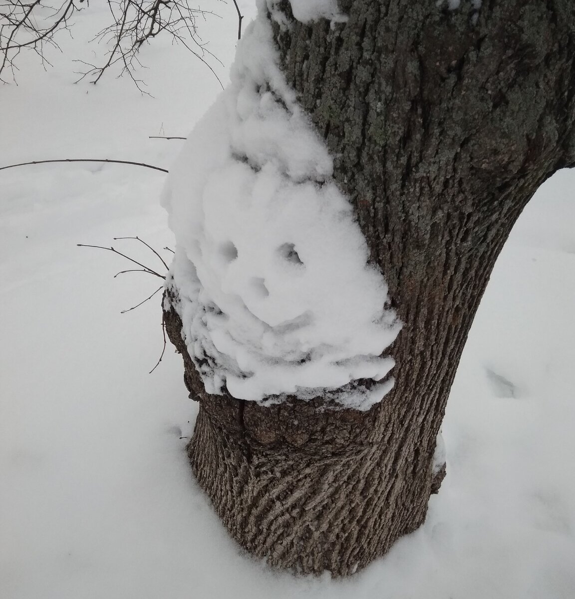 Снегу навалило