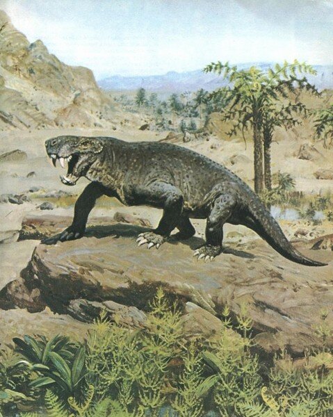 Зверозубый ящер - переходная форма от пресмыкающихся к млекопитающим