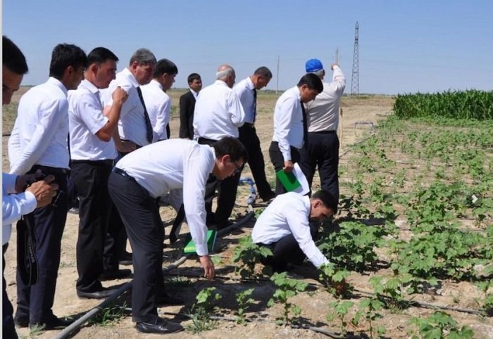 Источник фото: sard3tm.org