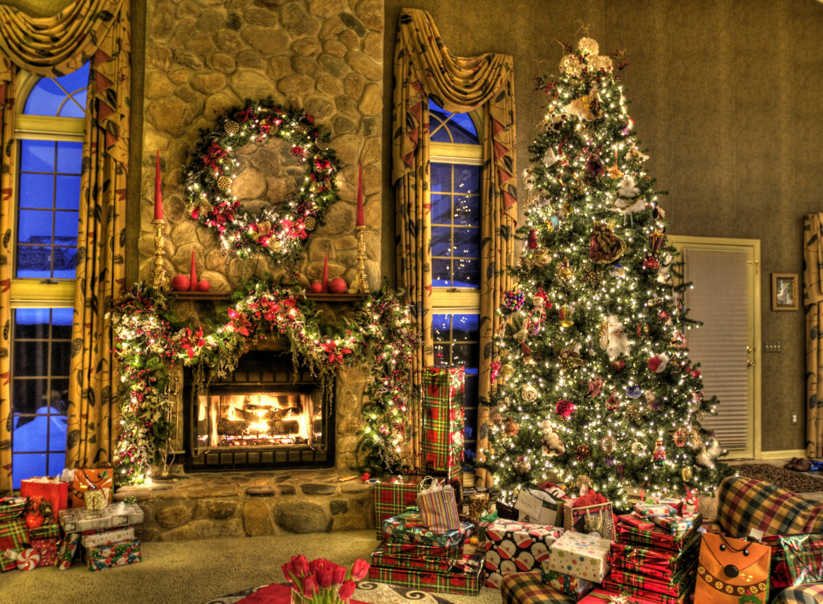 Фотография взята из интернета.