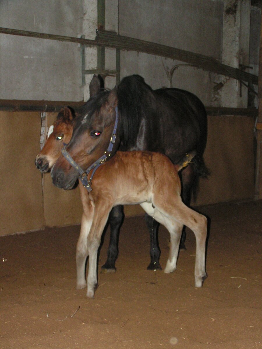 Дима  с мамой - третий день.