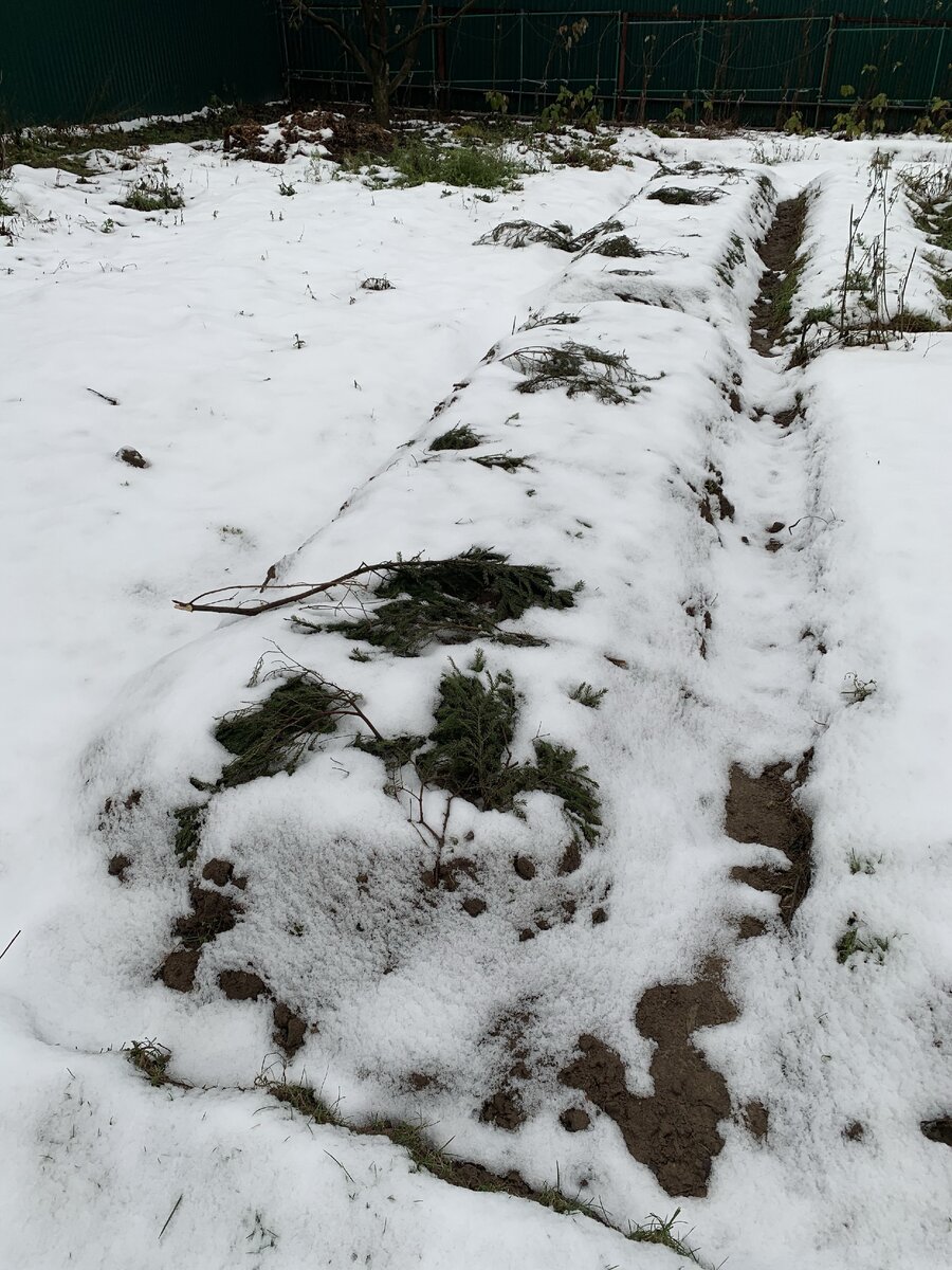 Фото из архива автора