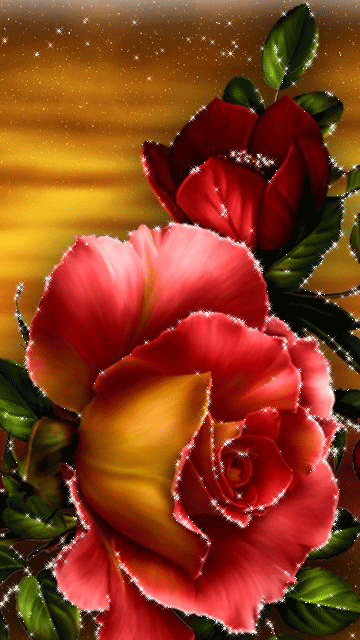 pinterest.com