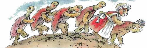 Черепахи все на одно лицо